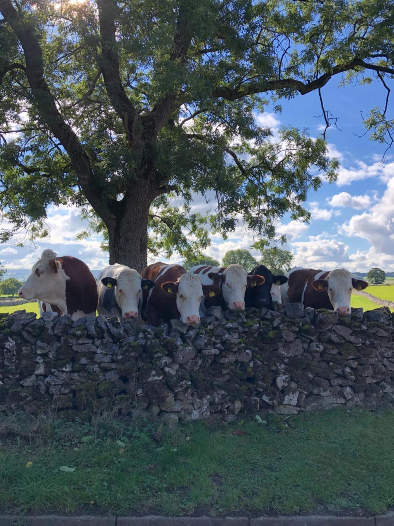 Lyme Tree Farm - Hotching Barn And Knockstone Tideswell