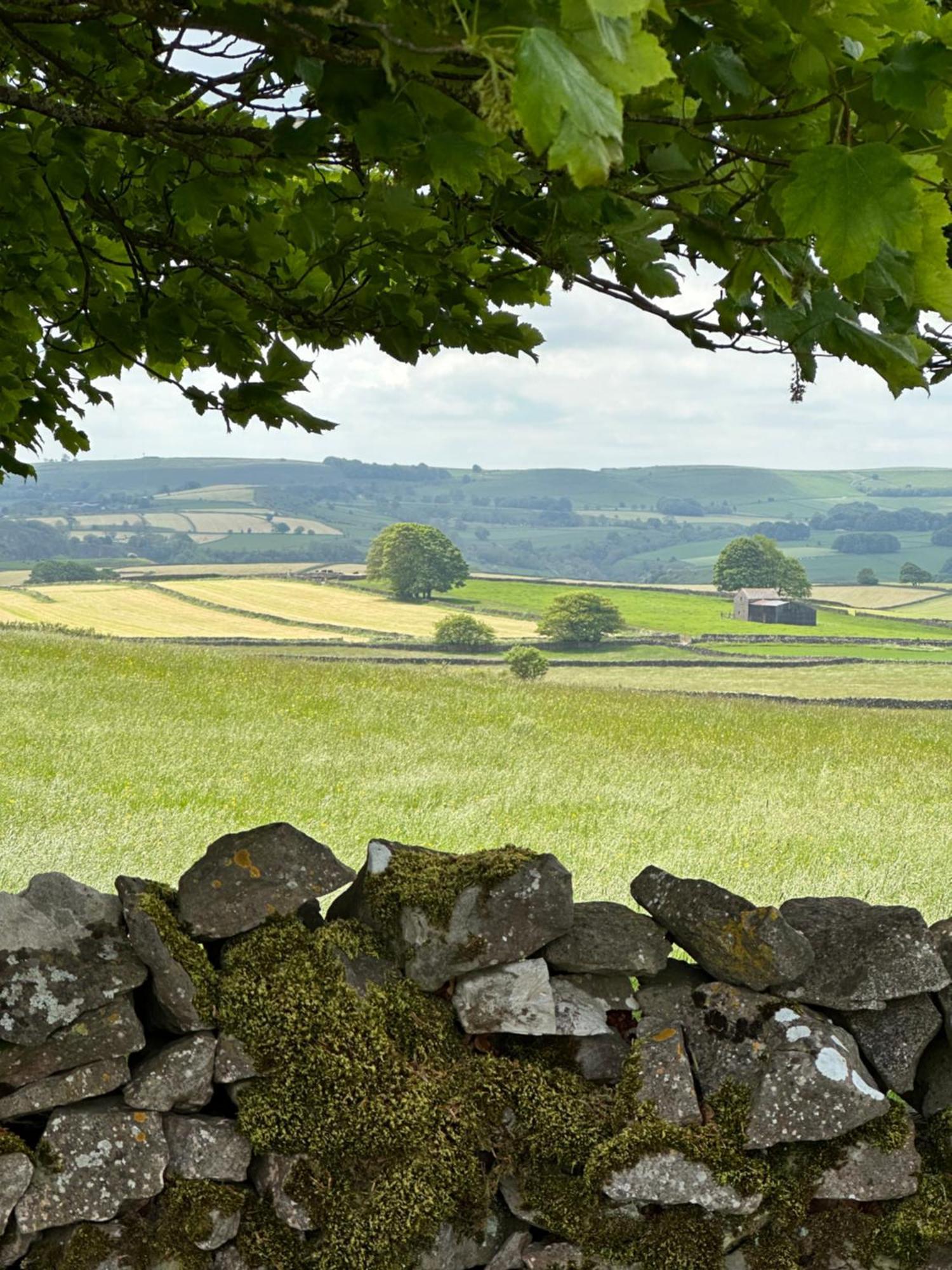 Lyme Tree Farm - Hotching Barn And Knockstone
